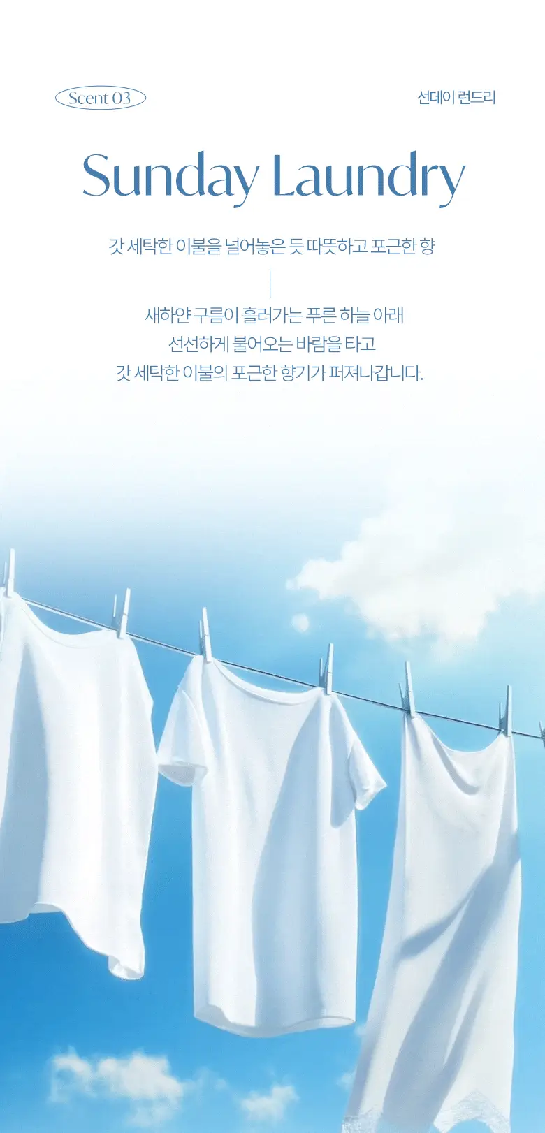 [탈취만족100%] 라운드어라운드 편백 클린 스프레이160ml/리필기획 상세페이지 21